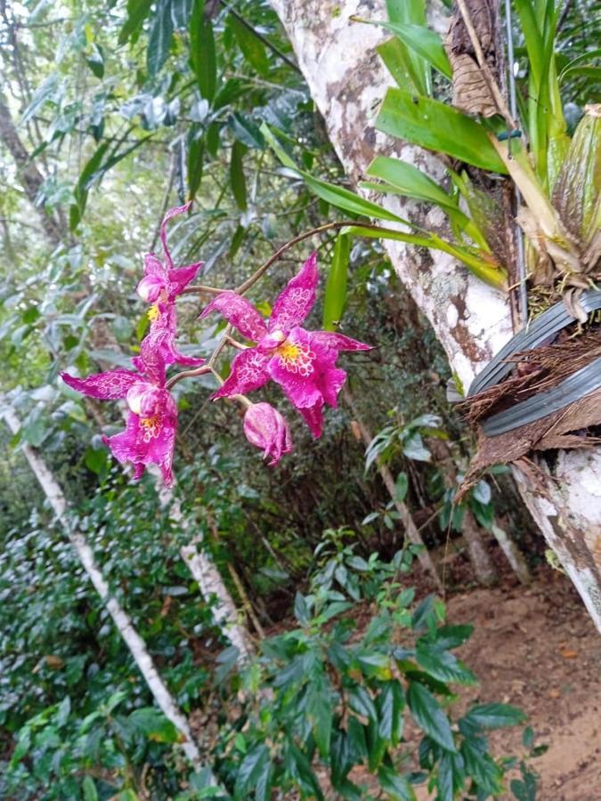 Casa De Campo Banheira, Lareira E Cachoeira Pedra Azul  Extérieur photo